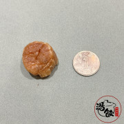 日本元貝L級【225G】 