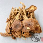 天然茶樹菇【200G】 