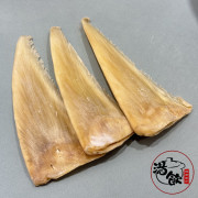 特大金山勾翅【150G】 