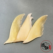 金山勾翅【150G】