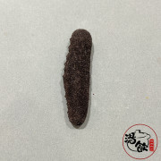 日本特大關西剌蔘【150g】